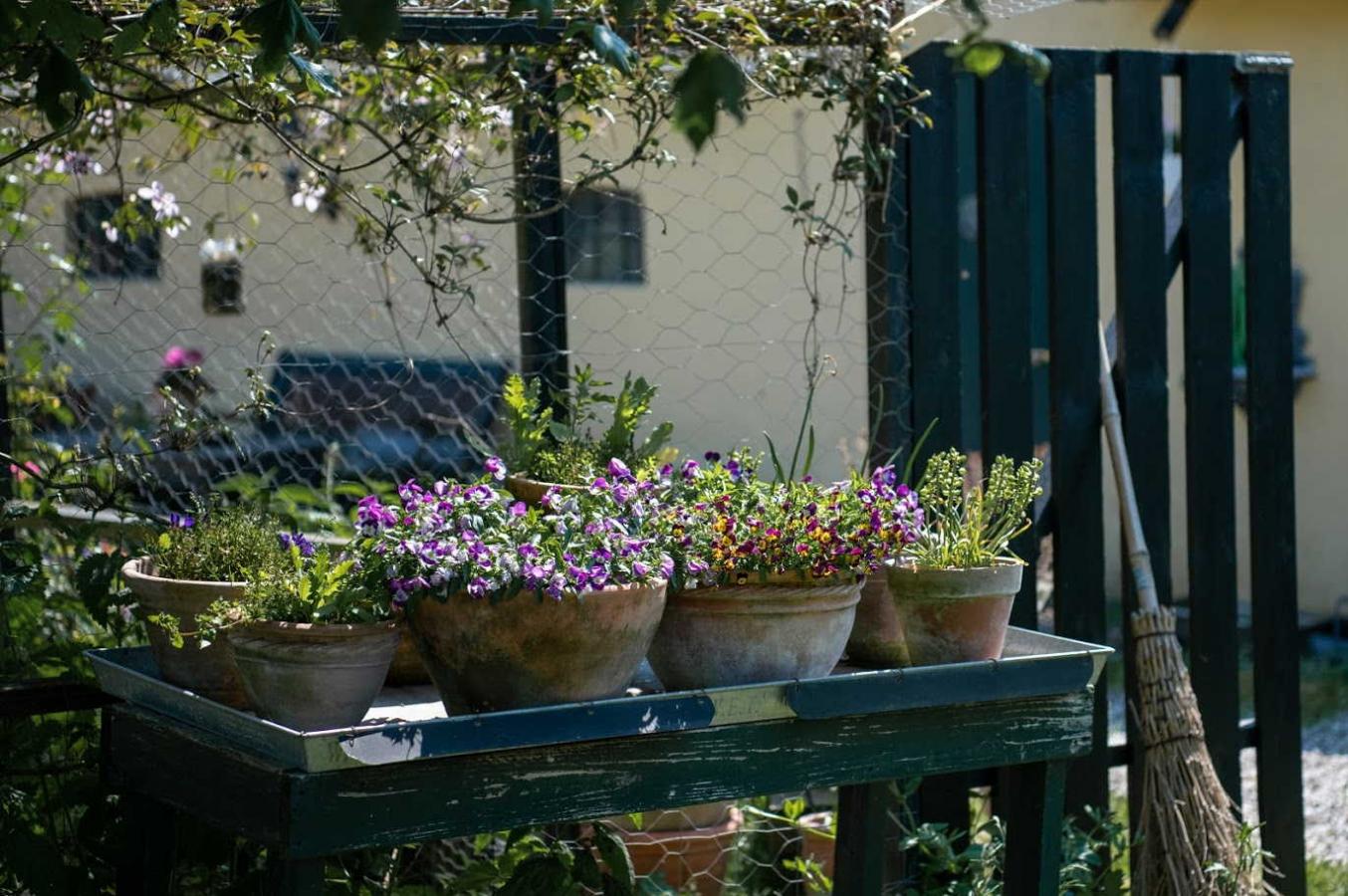 Kikhavn ved Hundested