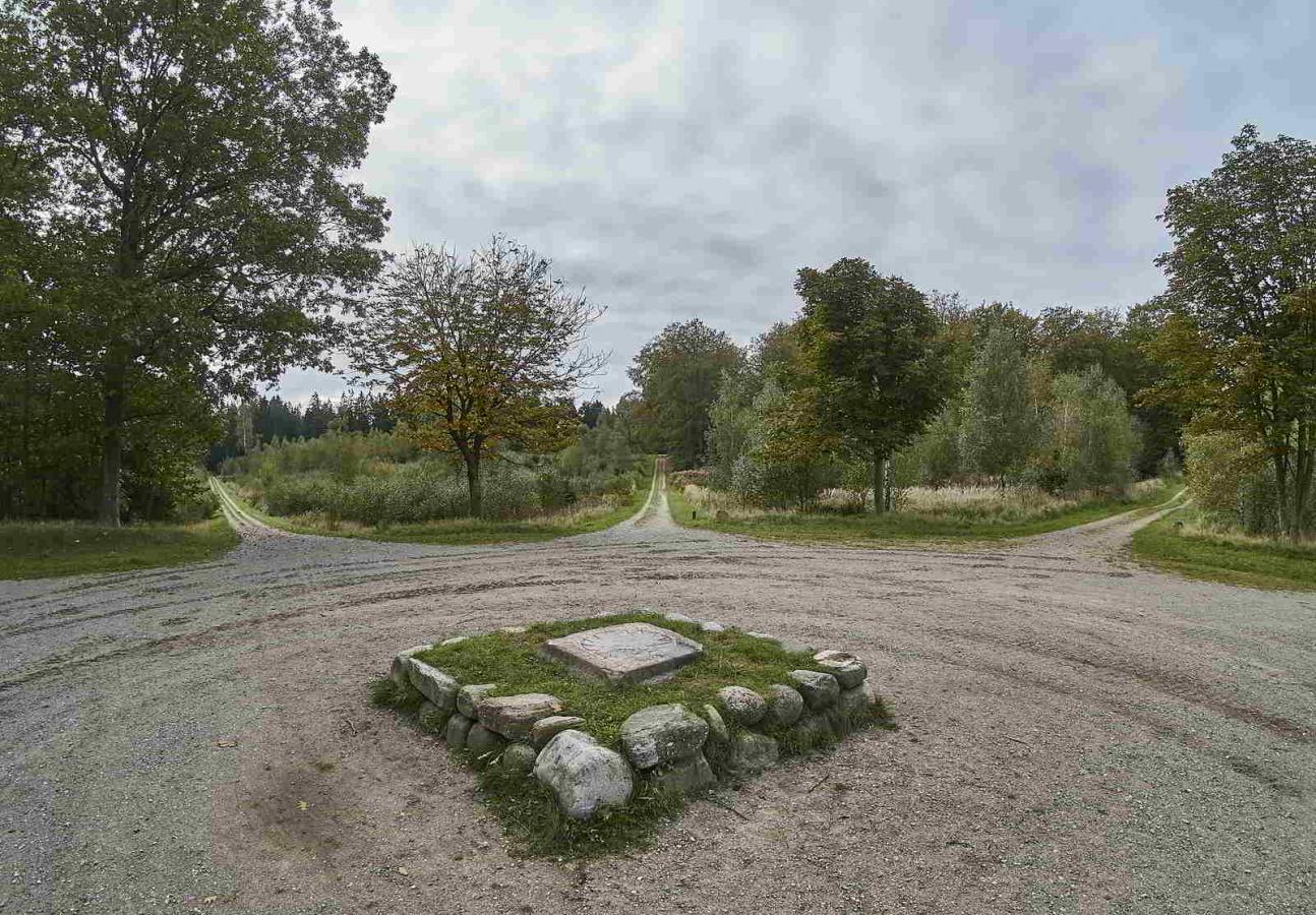 Parforce_Stjernen_hillerød