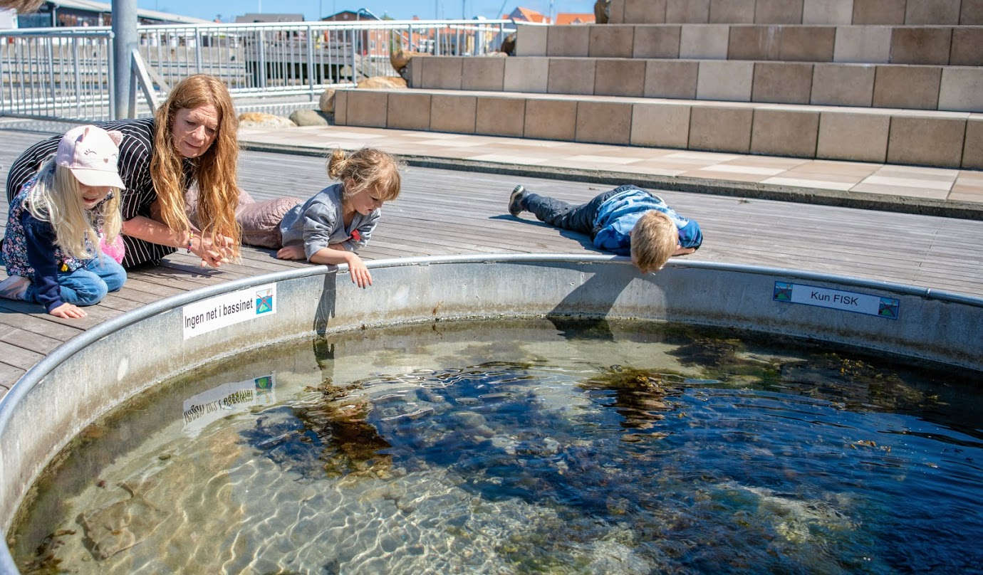 Klap en fisk Hundested havn