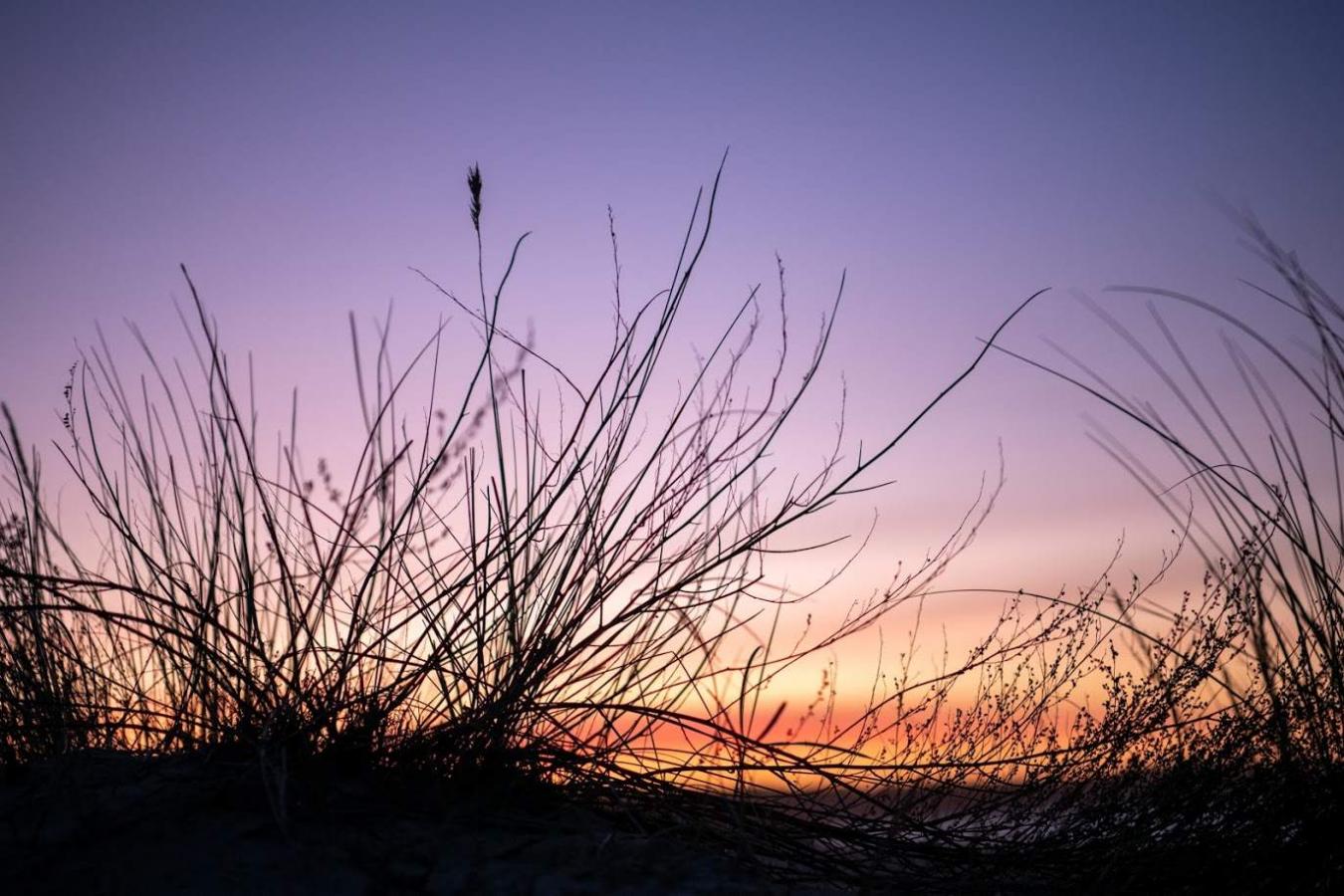 Solopgang ved Hornbæk Strand