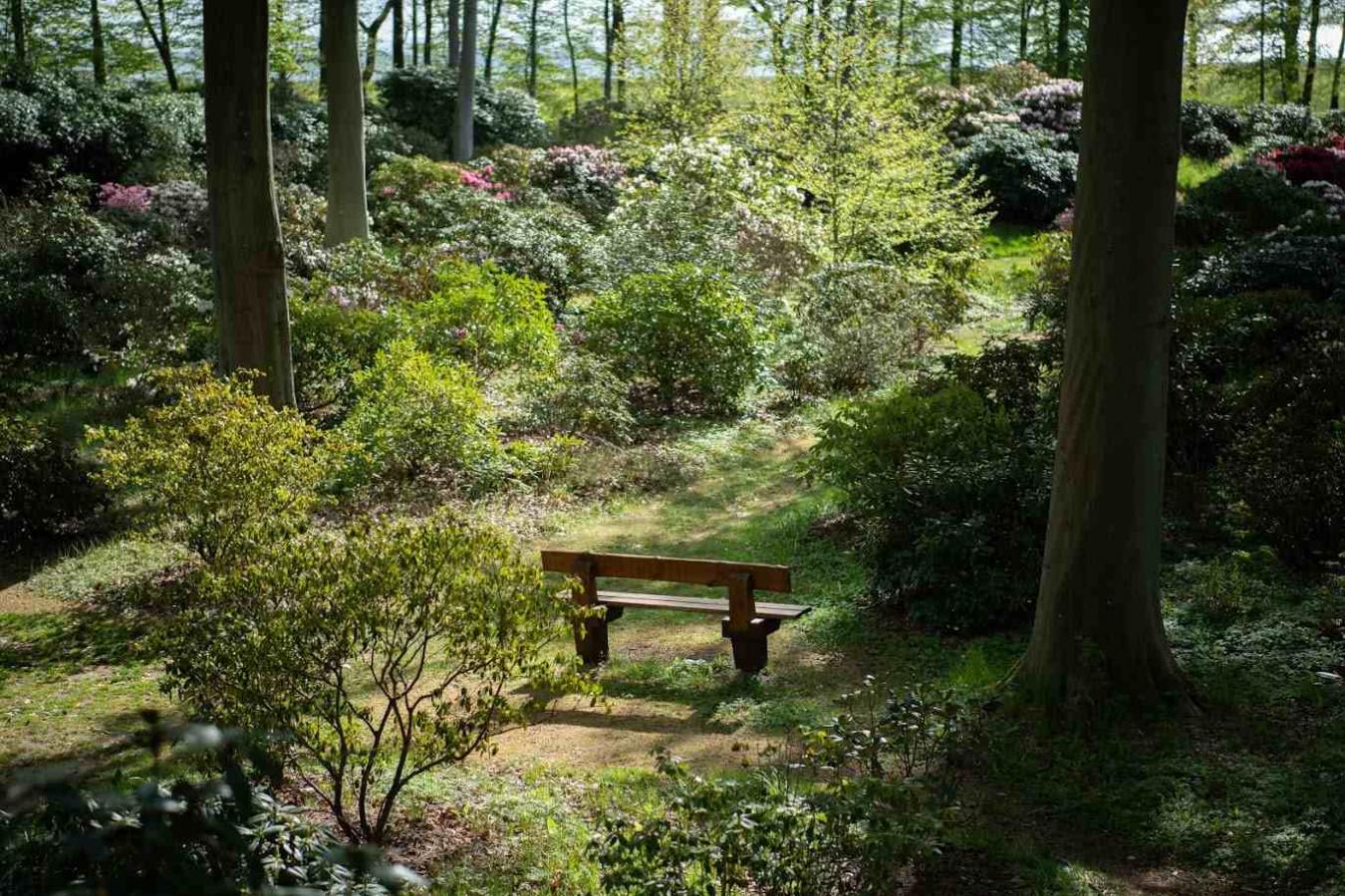 Haven ved Nivaagaard