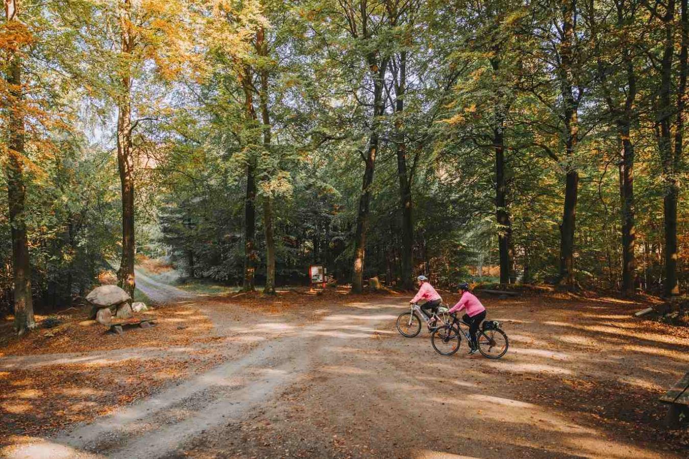 På mountainbike i Parforceskoven