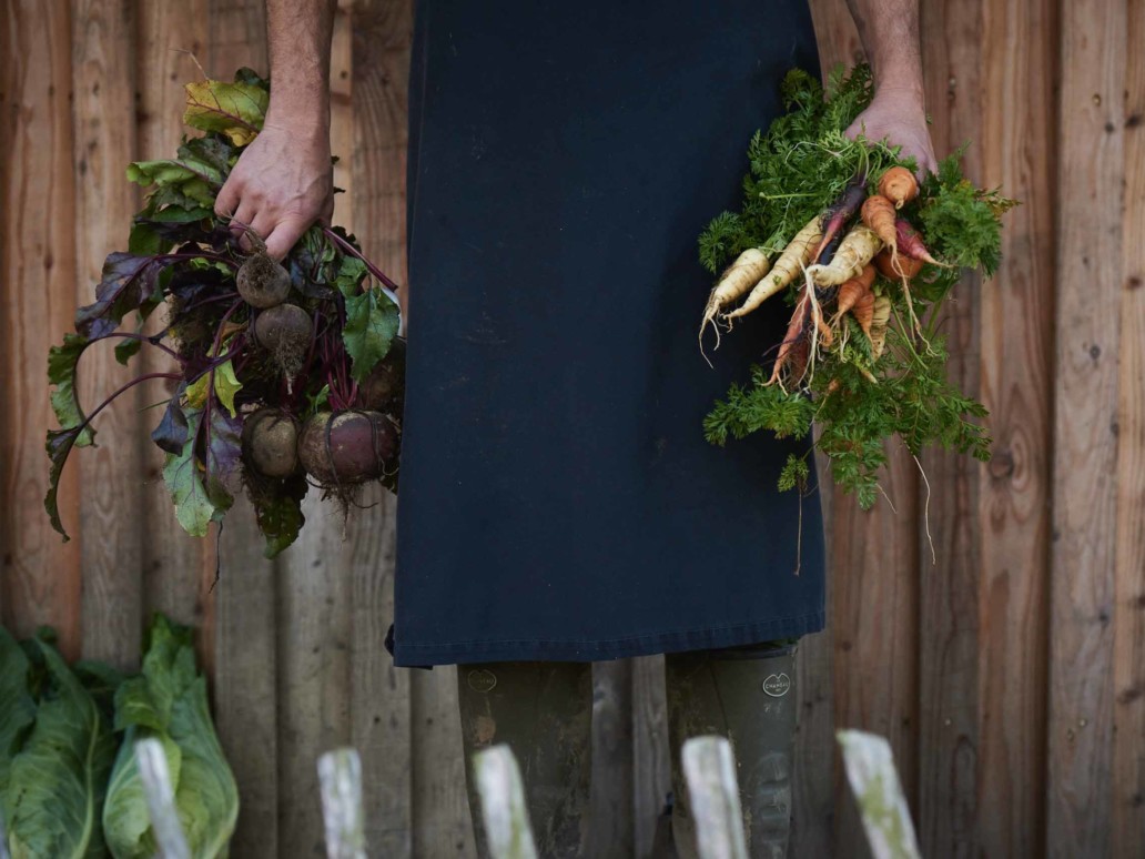 Lokale grøntsager fra Rabarbergården