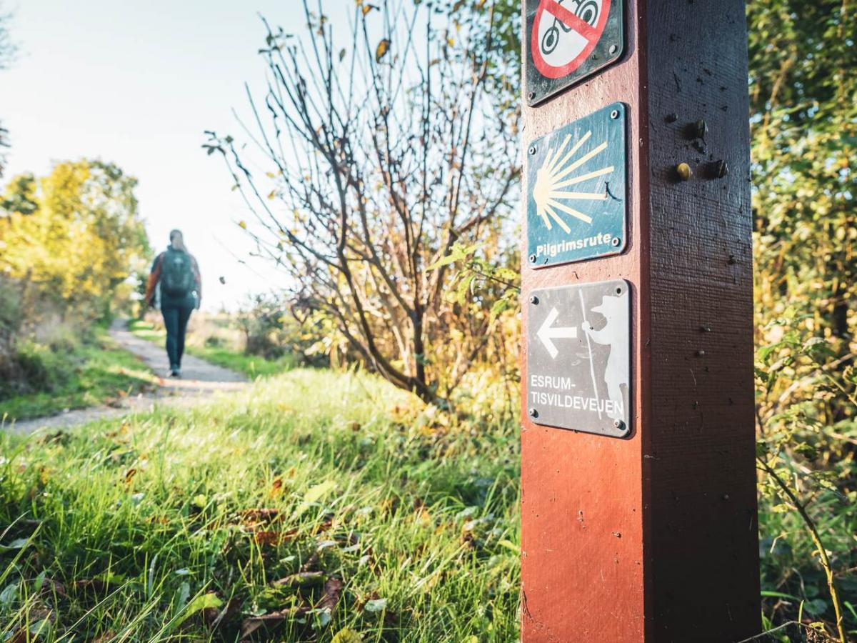 Tisvildevejen i Nordsjælland. En vandrerute med smukke naturoplevelser på Sjælland.