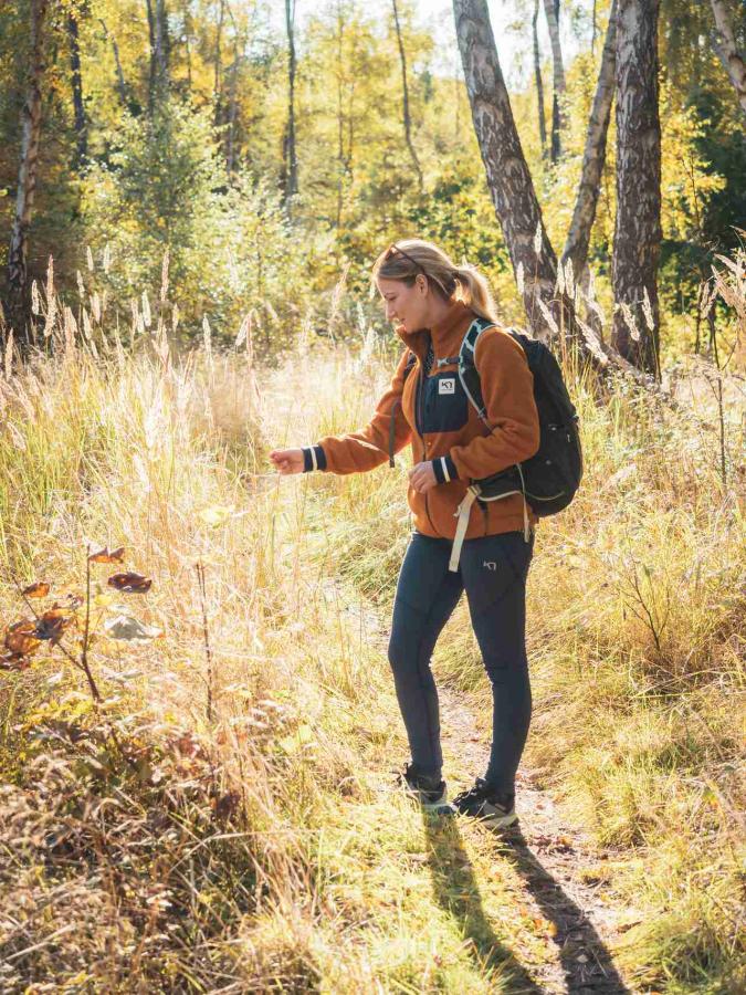 Tisvildevejen i Nordsjælland