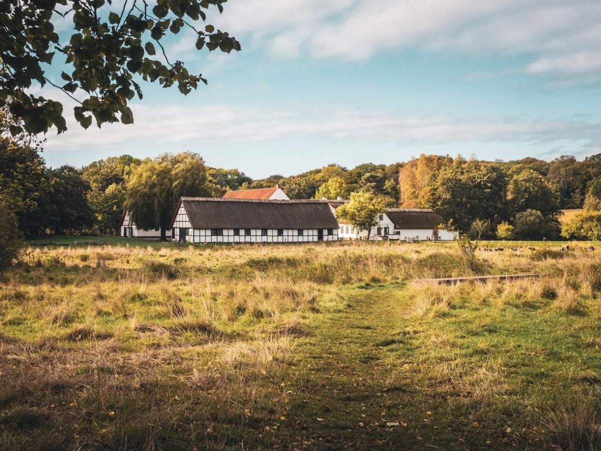 Esrum Kloster ligger midt i Nationalpark Kongernes Nordsjælland og kan bruges som start for din vandreferie eller udendørsaktiviteter. 