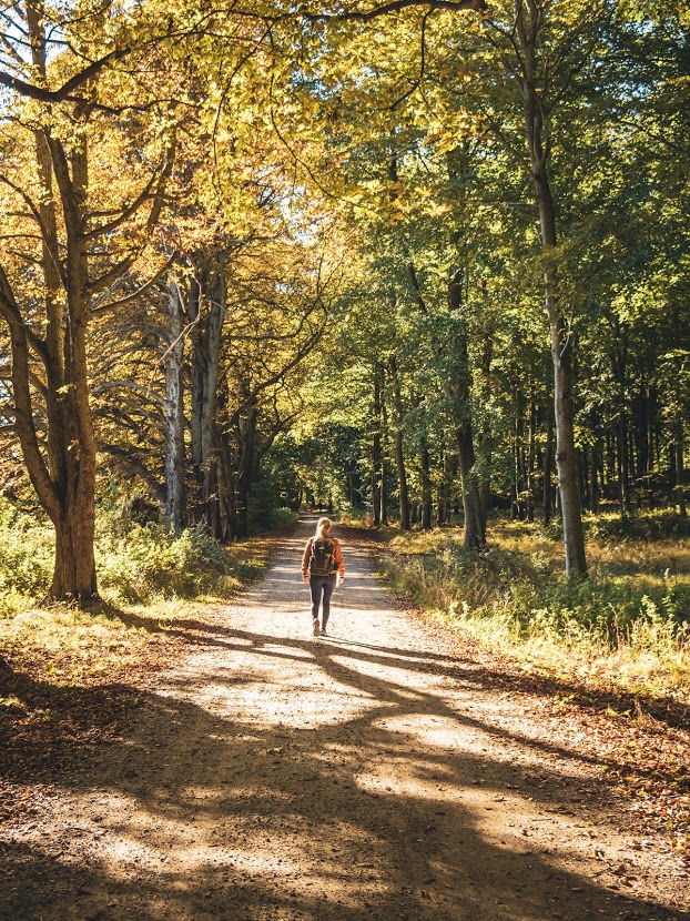 Esrum-Tisvildevejen er en ca. 25 km lang vandretur gennem det nordlige Sjælland, hvor du får en masse naturoplevelser, kan se sjældne fugle samt overnatte i det fri i shelter. 