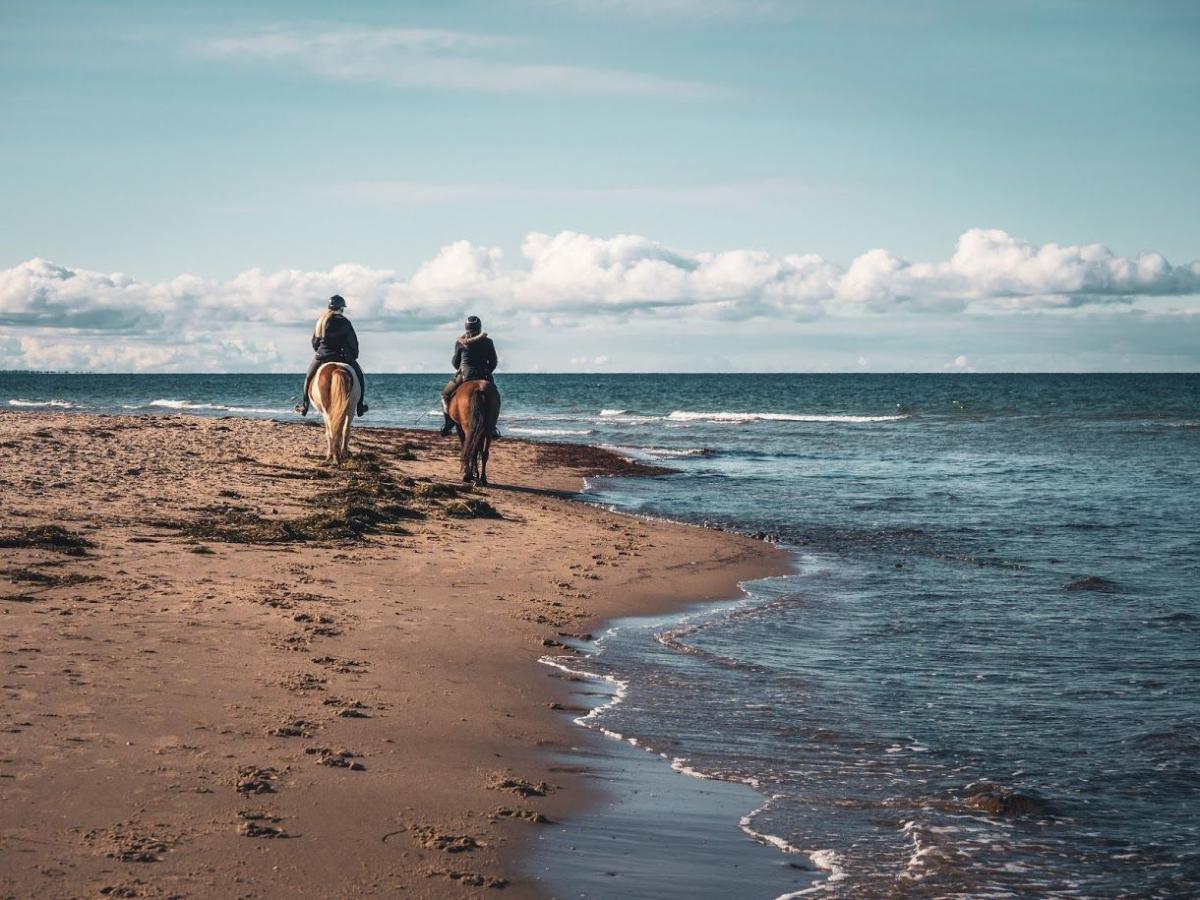 Ridning på Tisvildeleje strand i Nordsjælland. her er højt til loftet og kilometervis af skøn strand og naturoplevelser. 