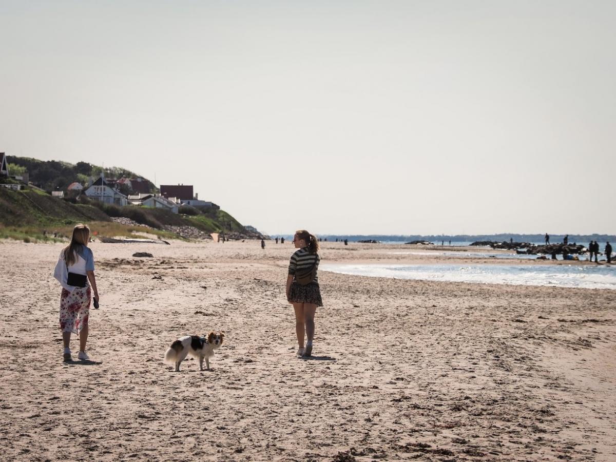 Med hund på Liseleje Strand