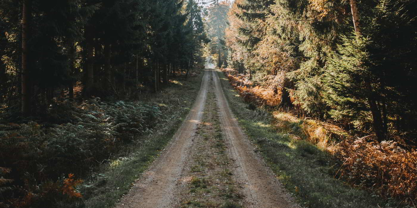 parforce skov hillerød cykle løbe hvad er parforcejagtlandskabet