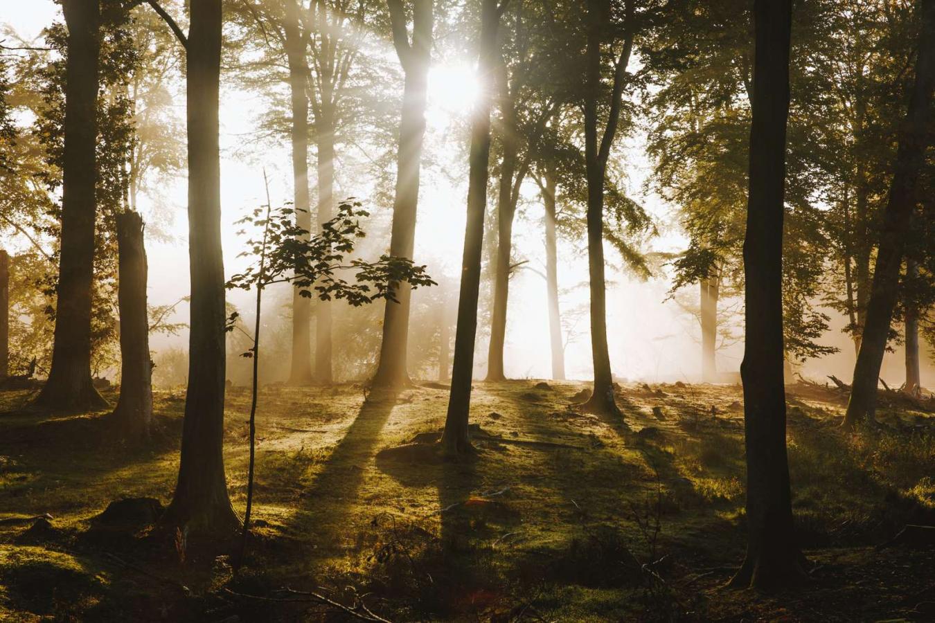 Nationalpark Kongernes Nordsjælland