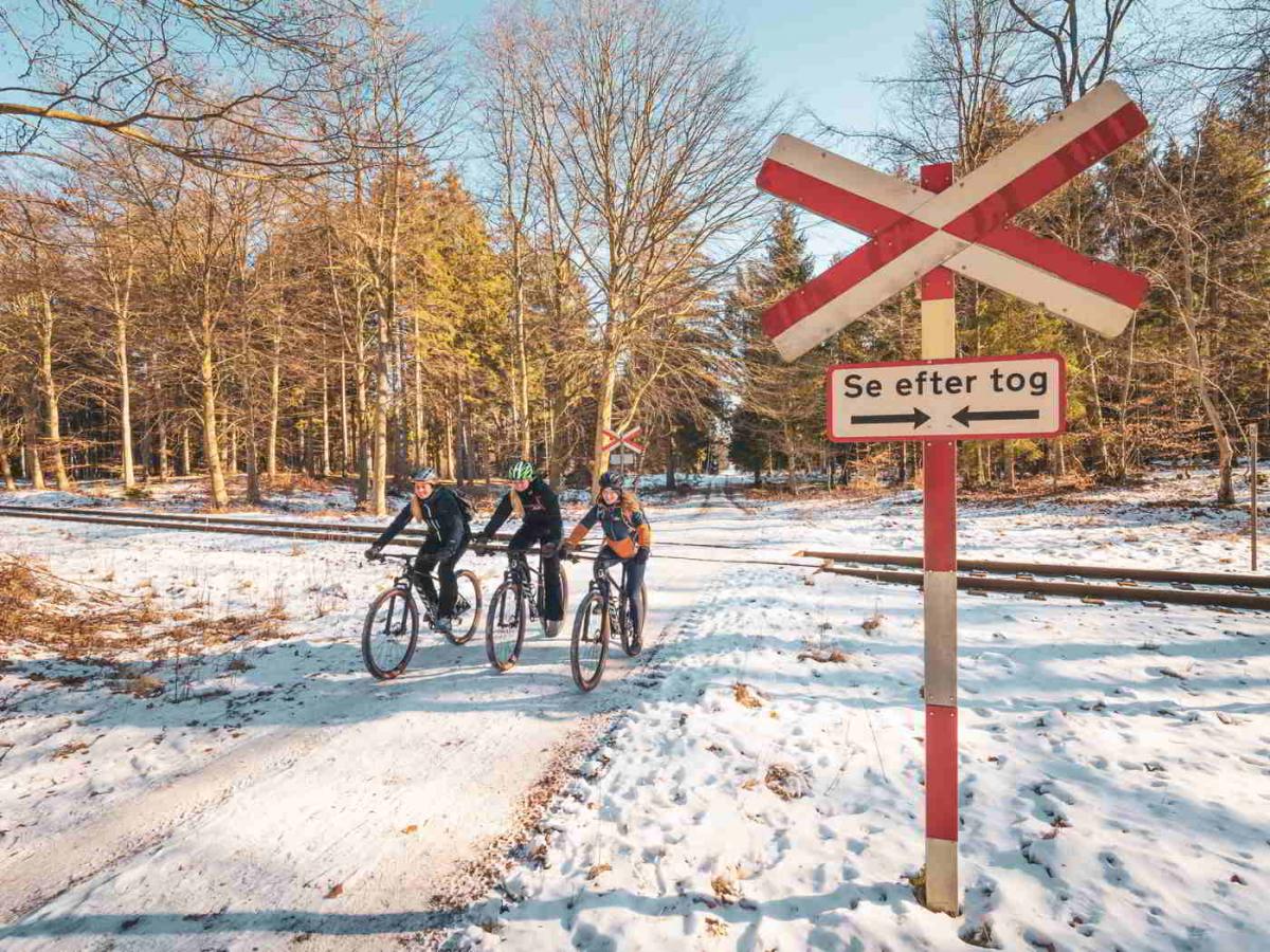 mountainbike gribskov cykel mtb udlejning leje sponz