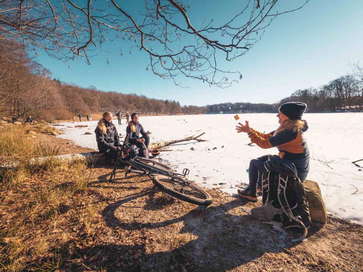 mountainbike gribskov heatherhill natur shelter