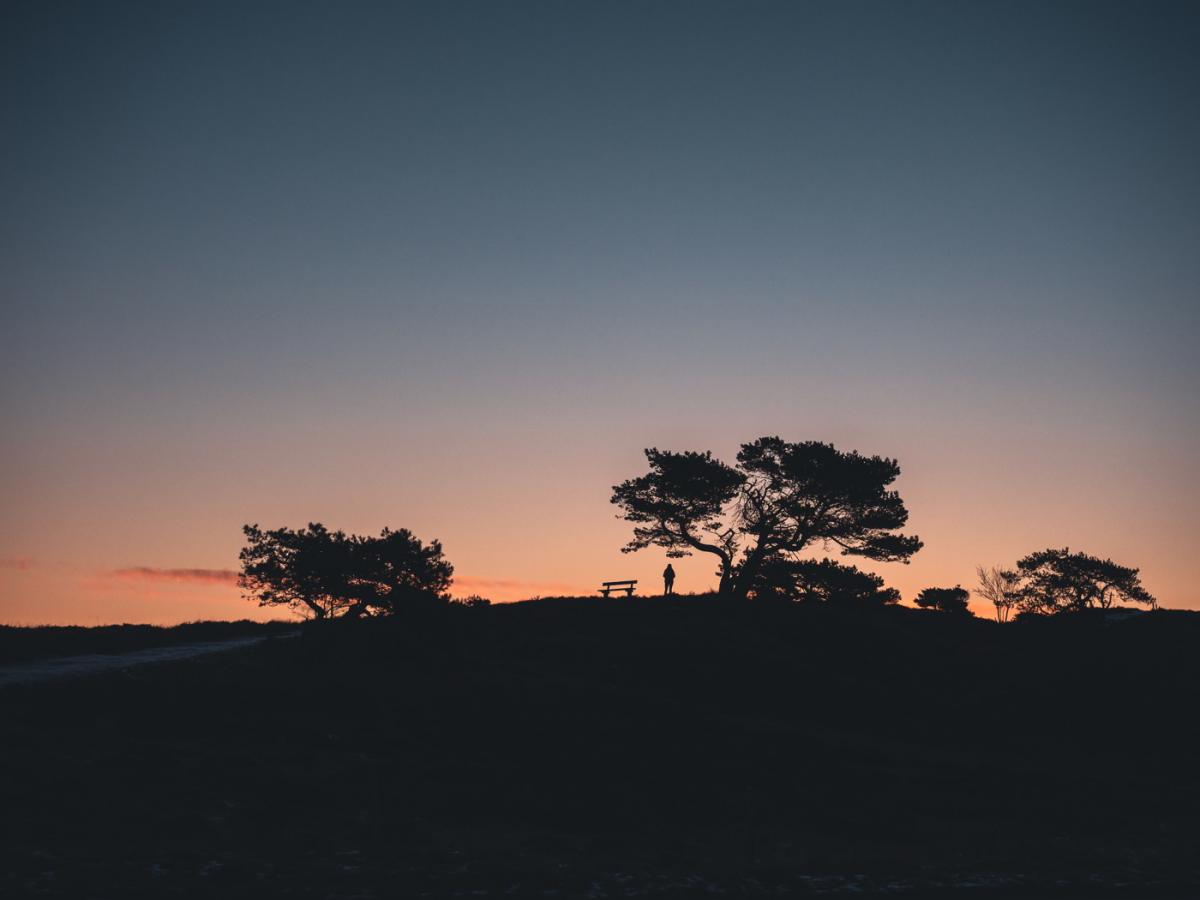 gåtur nordsjælland naturen strand bakker