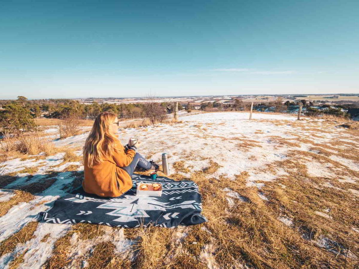 kaffe og kage nordsjælland naturen udendørs aktiviteter