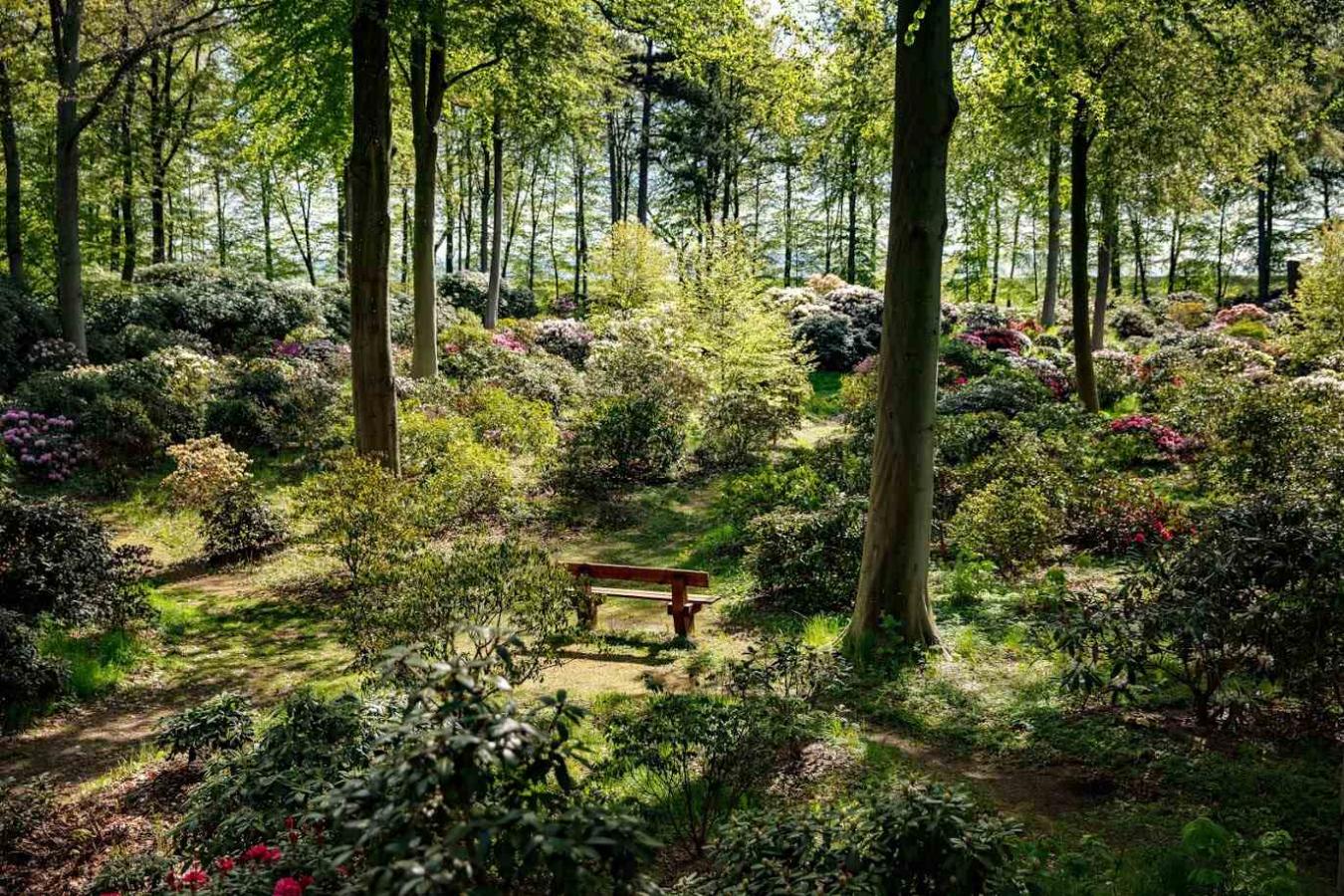 Haven ved Nivaagaard Malerisamling