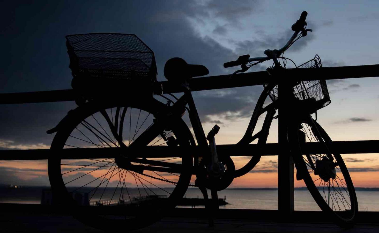 Grøn mobilitet