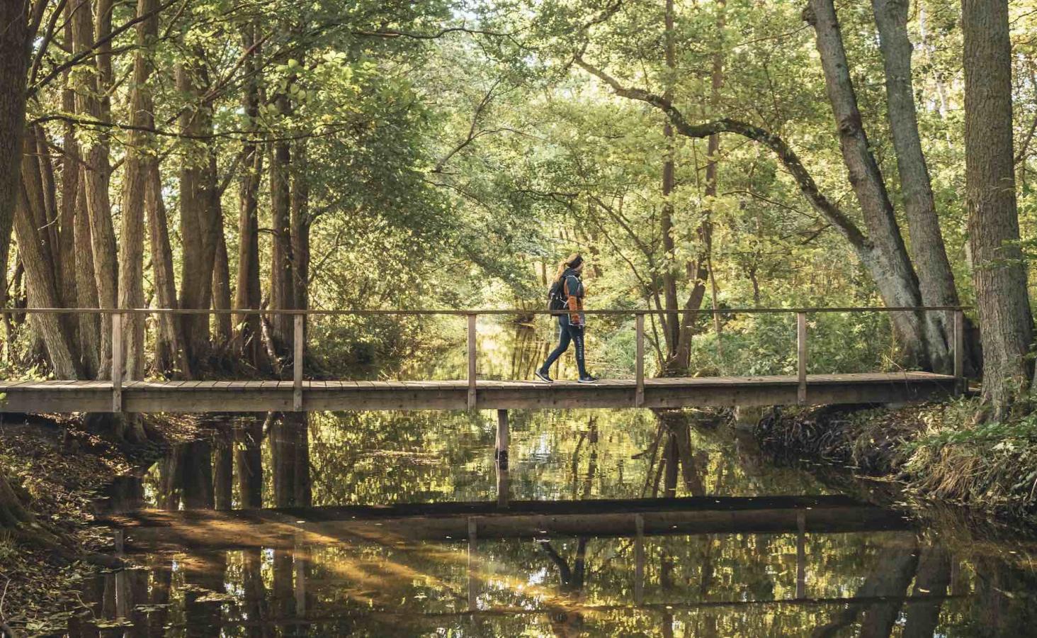 Vandretur i Nordsjælland