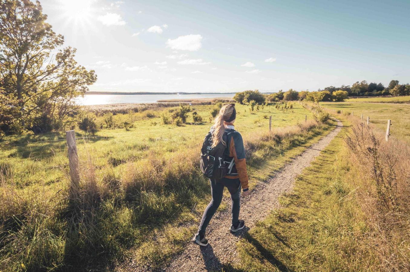 Oplevelser under vandrefestival 