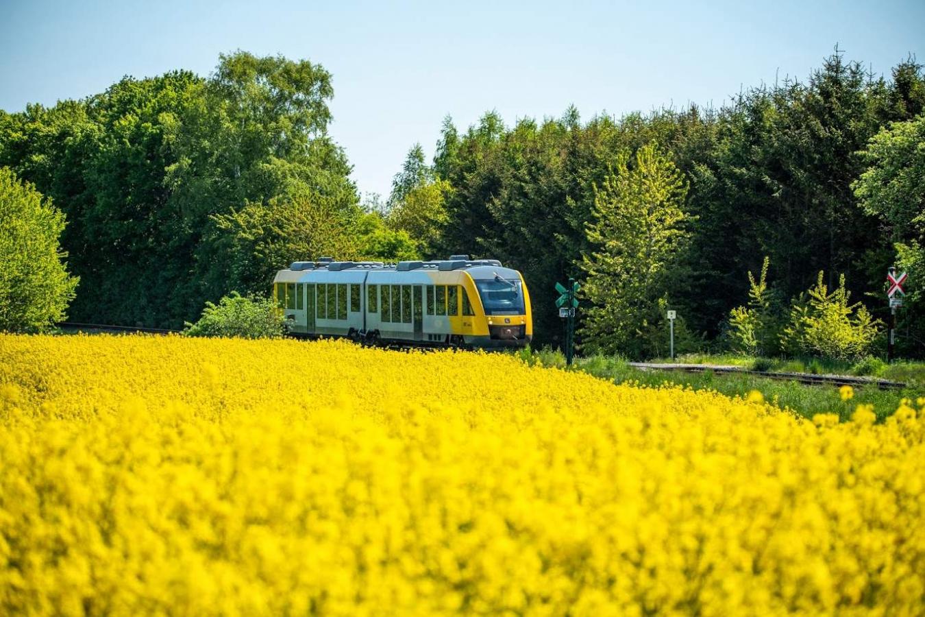 Lokaltog Nordsjælland