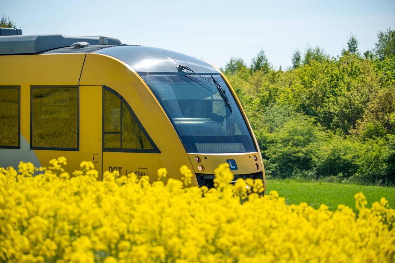 nordsjælland københavn weekend liste hvad kan man lave børn