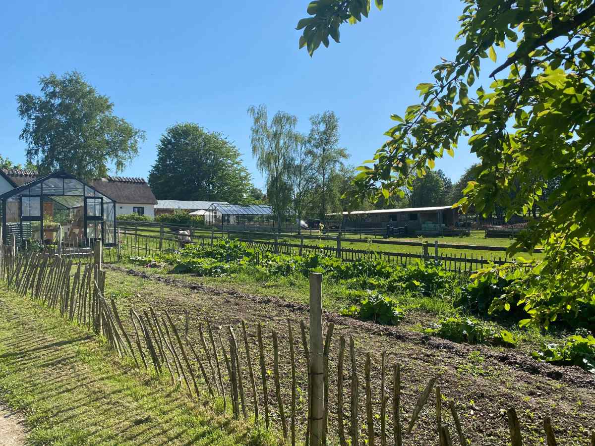 Et besøgt på Rabarbergården kalder på genbesøg