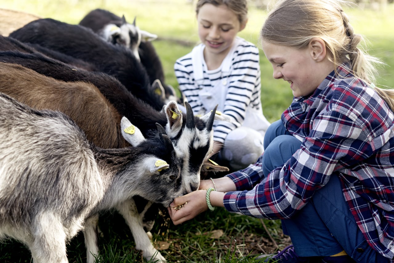 Tothaven Besøgsbondegaard Hundested