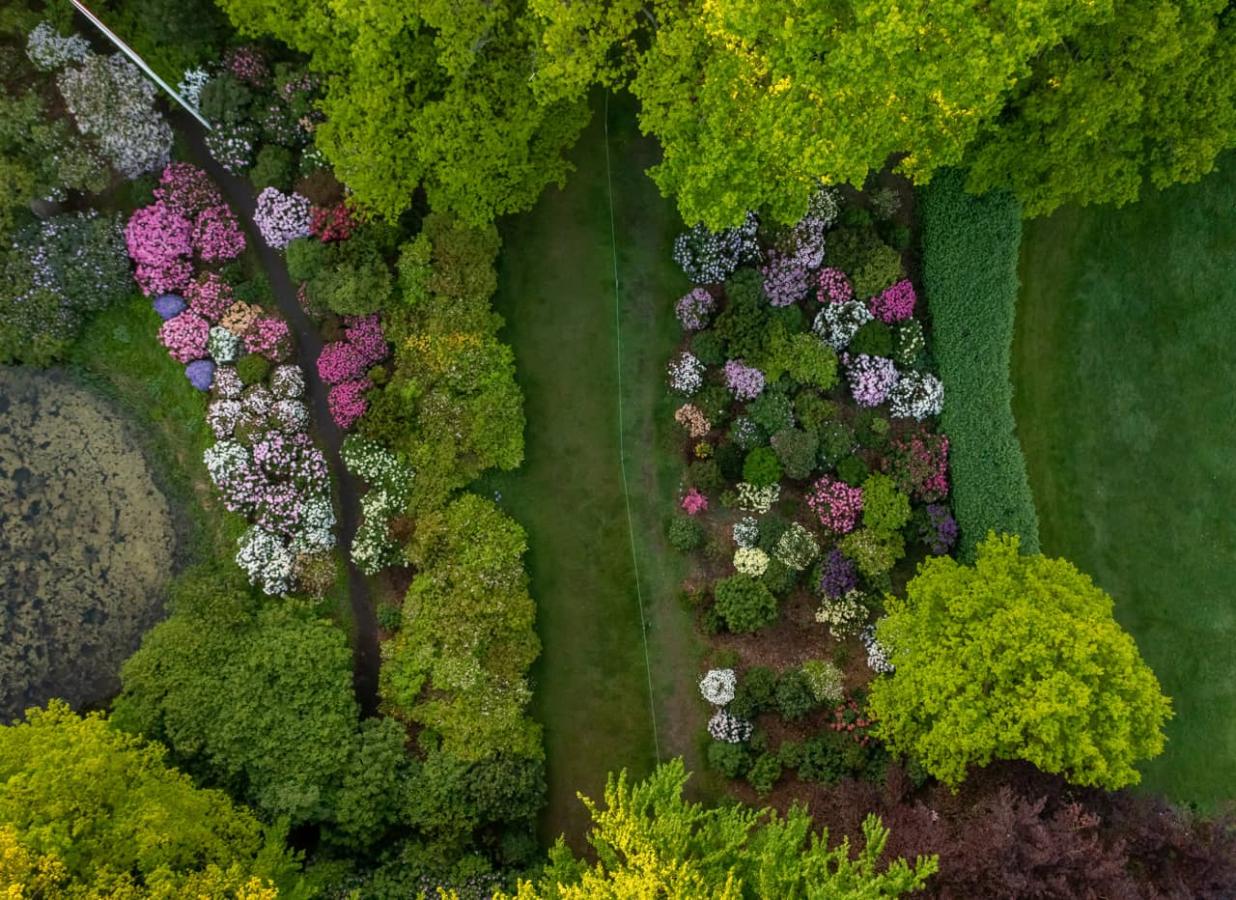Rhododendron haven ved Nivaagaard Malerisamling