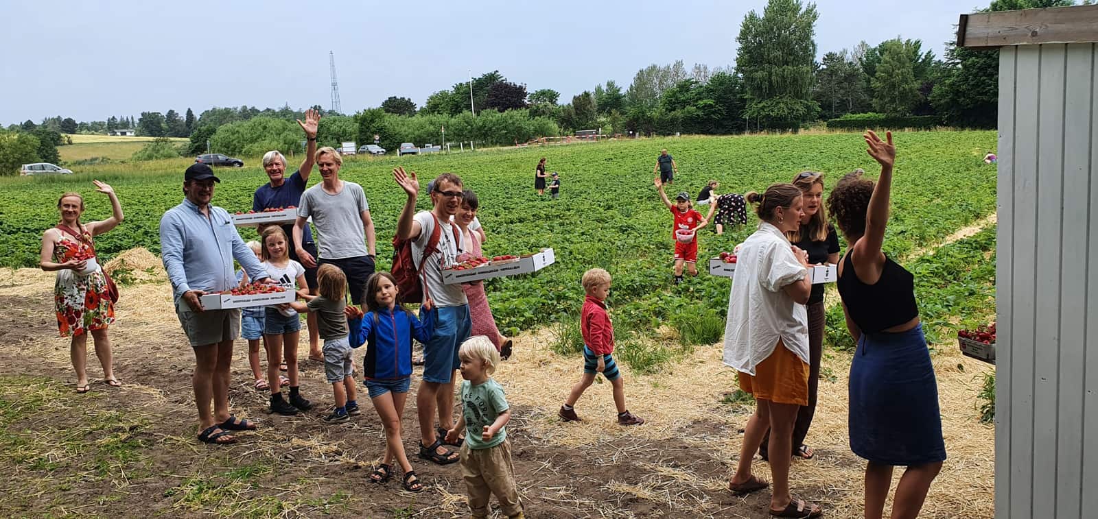 Gundekildegaard - Jordbærcaféen