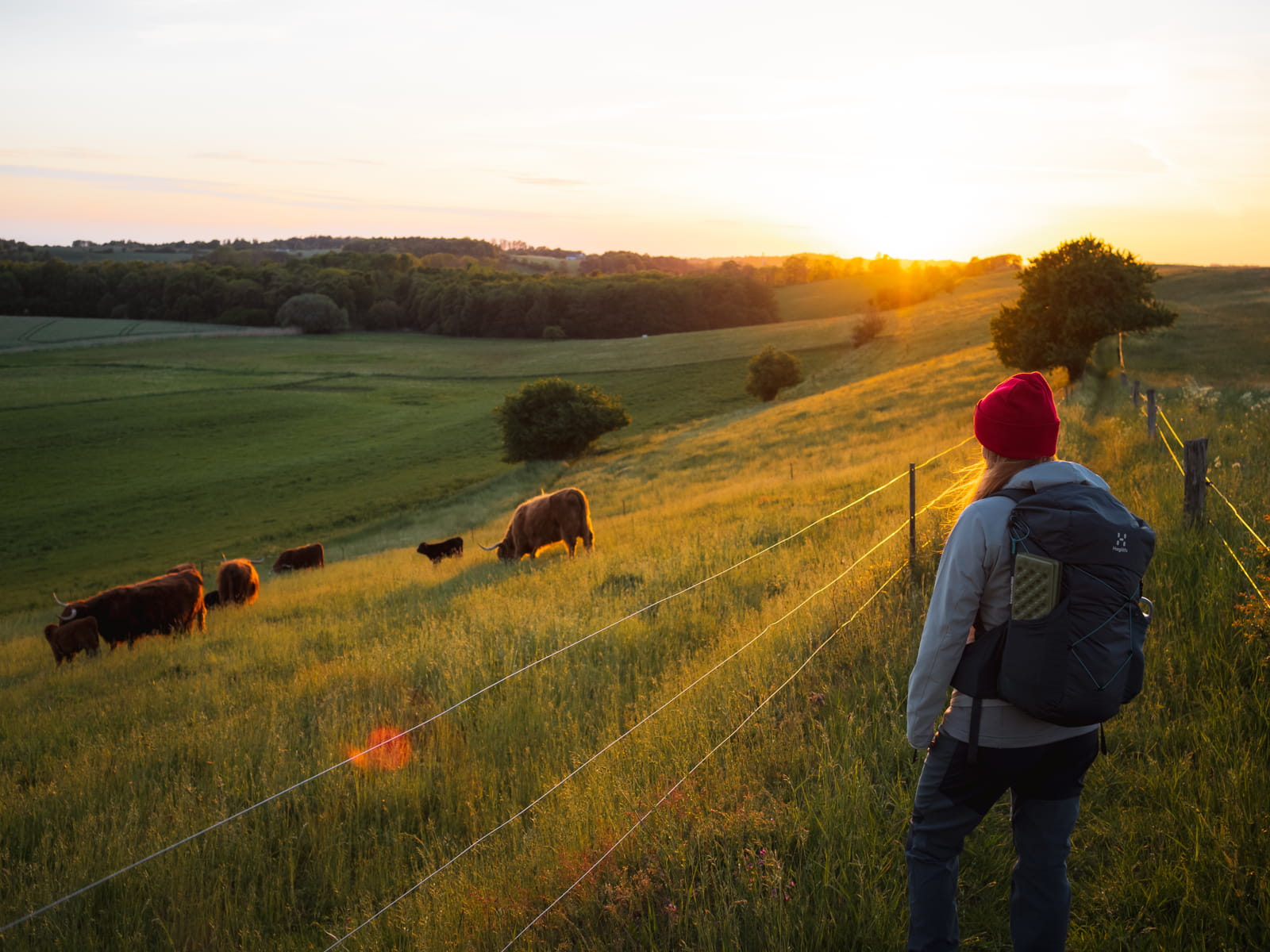 Halsninoen. 52 km vandrerute i Halsnæs