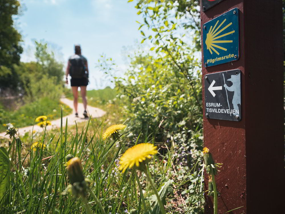 Tisvildevejen fra Hillerød til Melby Overdrev