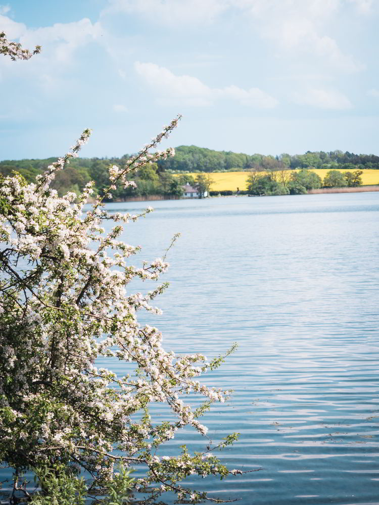 Tisvildevejen fra Hillerød til Melby Overdrev