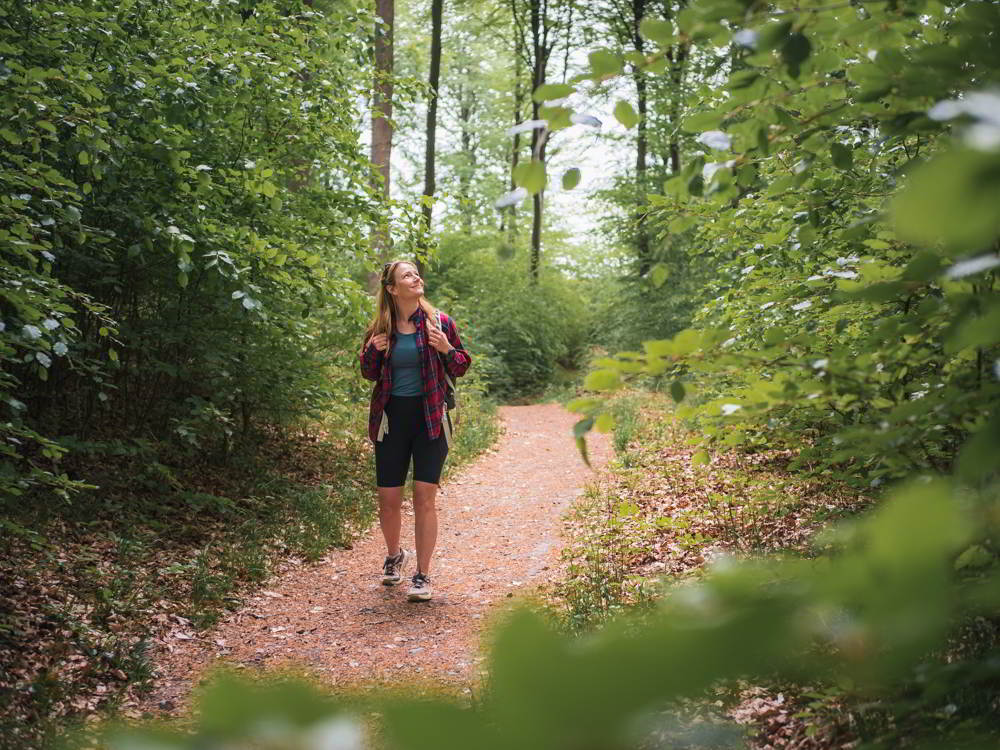 Tisvildevejen fra Hillerød til Melby Overdrev