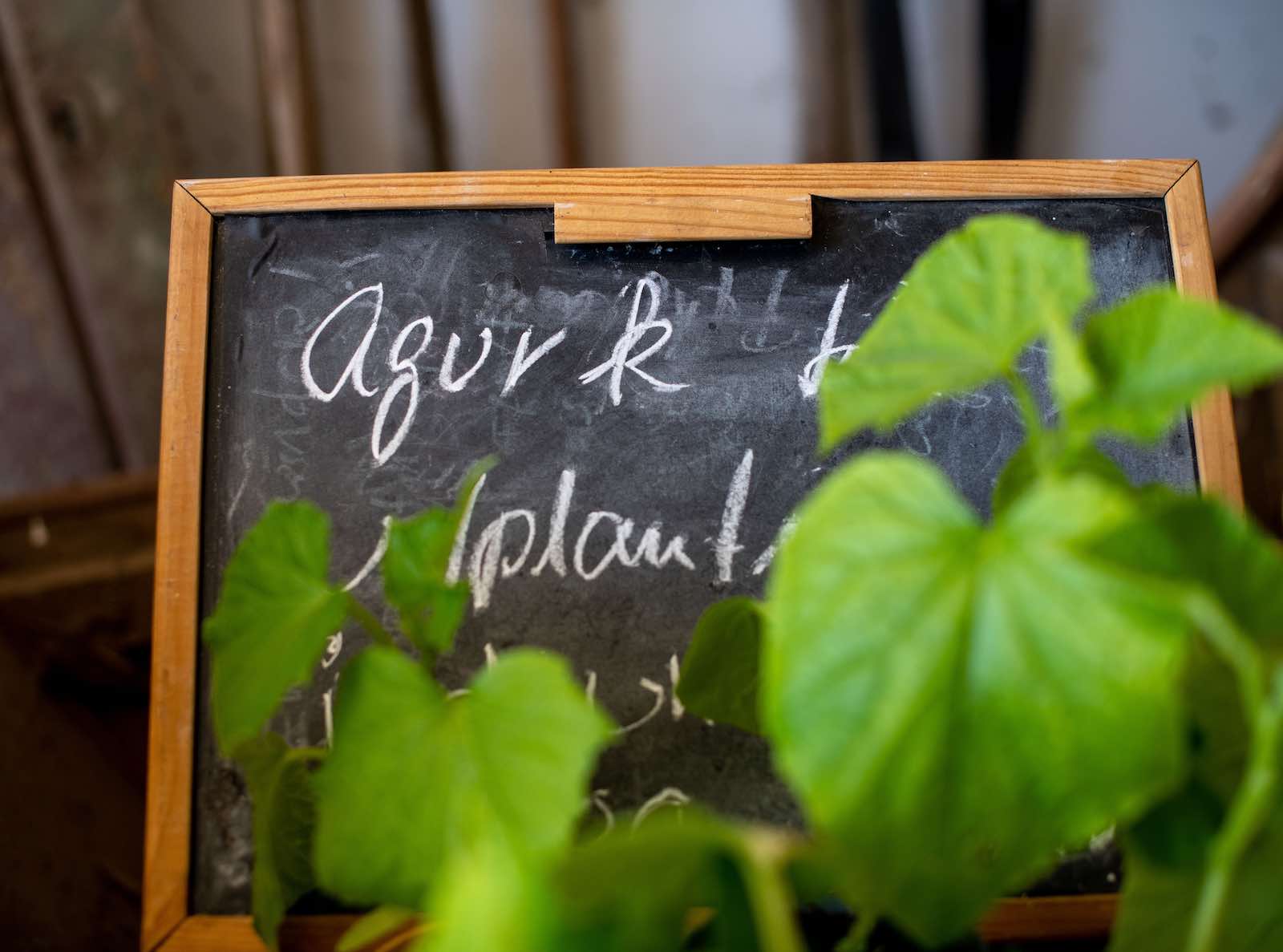 Bæredygtig turismeudvikling og værdiskabelse