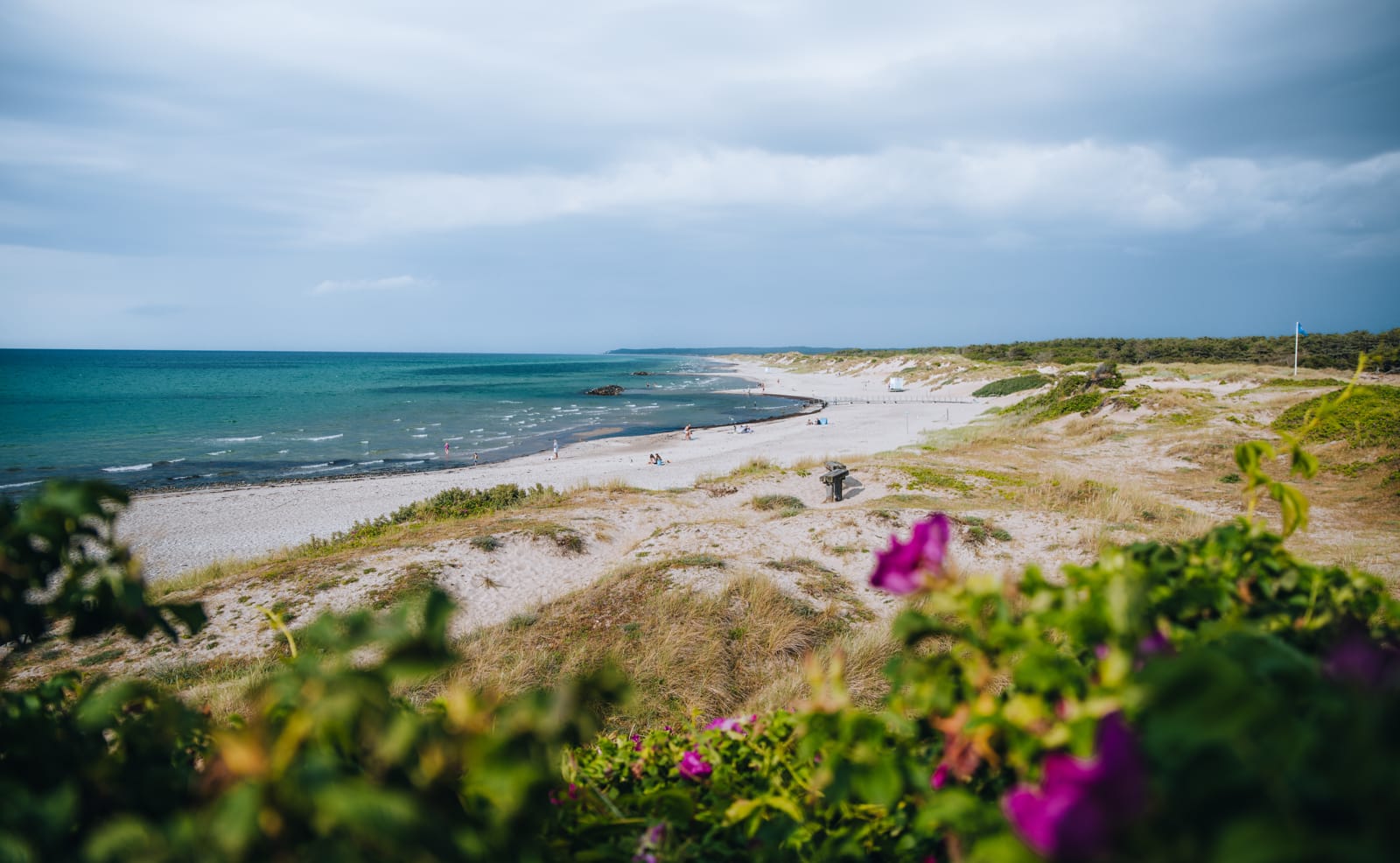 Smuk sommerdag på stranden i Liseleje