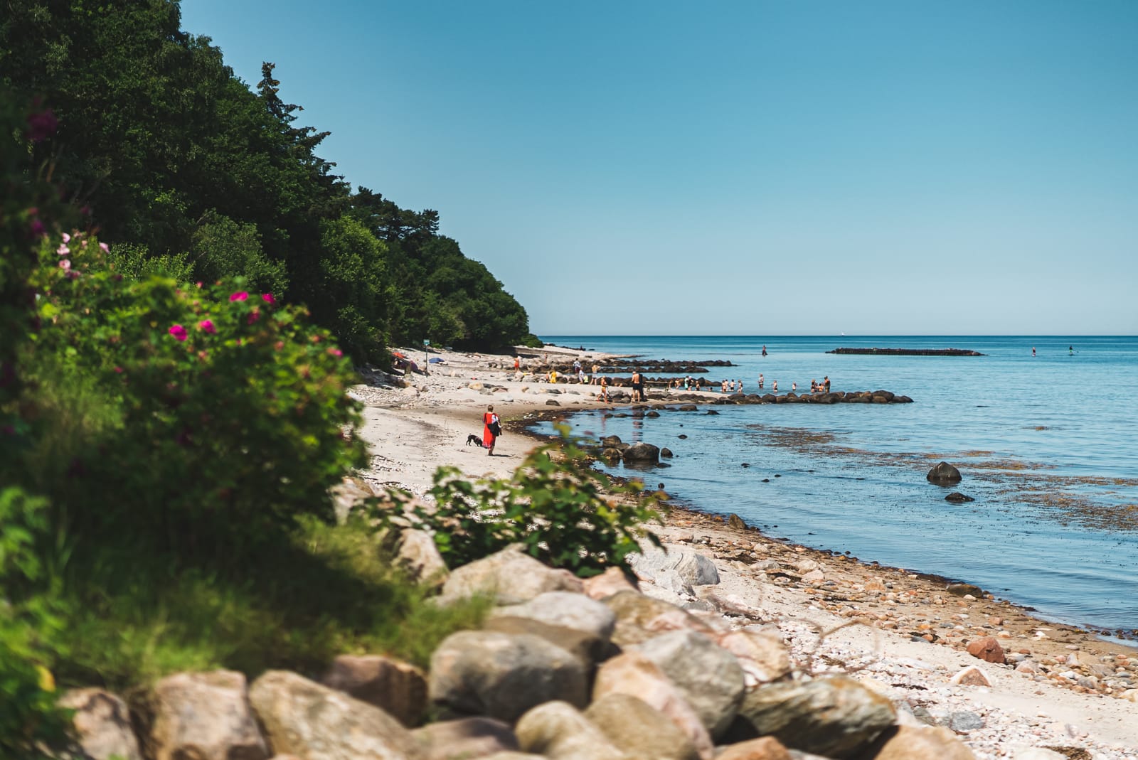 Stranden ved Munkeruphus i Dronningmølle
