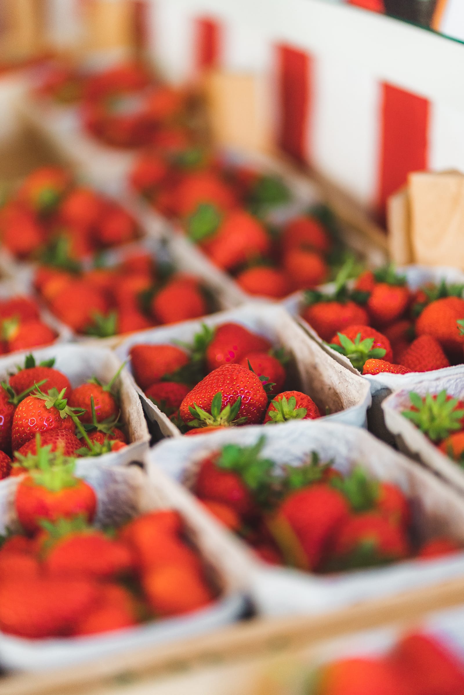 Jordbær fra Rokkedyssegaard