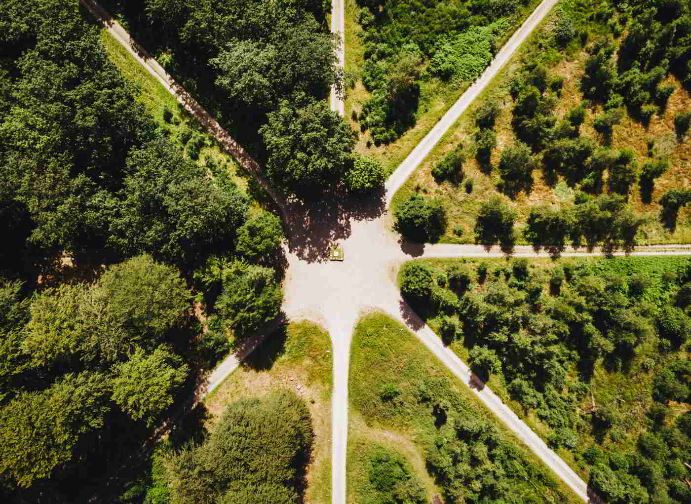 The King's Star in the Par Force Hunting Landscape seen from above with the eight straight roads radiating from the center.