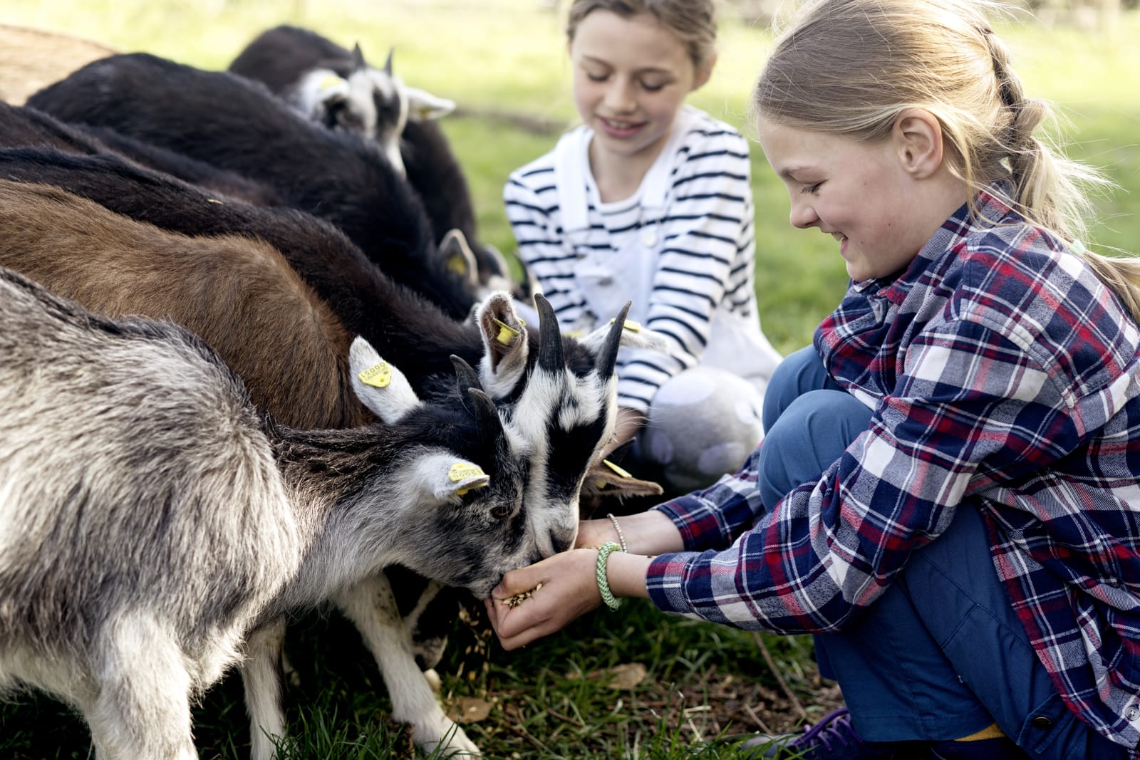 Tothaven Besøgsbondegård i Hundested