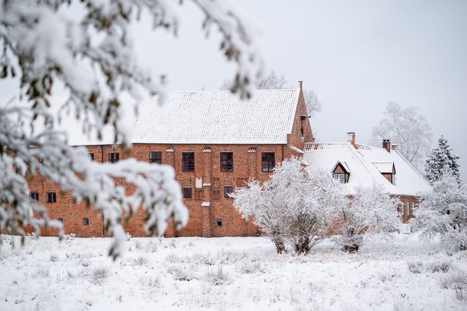 Esrum Kloster i vinterdragt