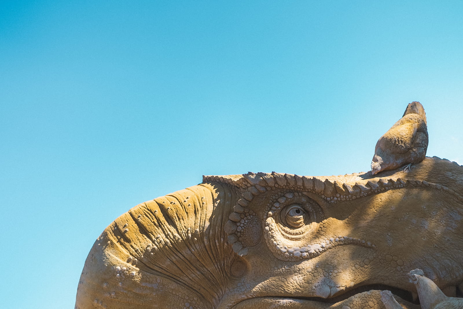 Hundested Sandskulptur Park - Se smukke sandskulpturer på Havnen i Hundested