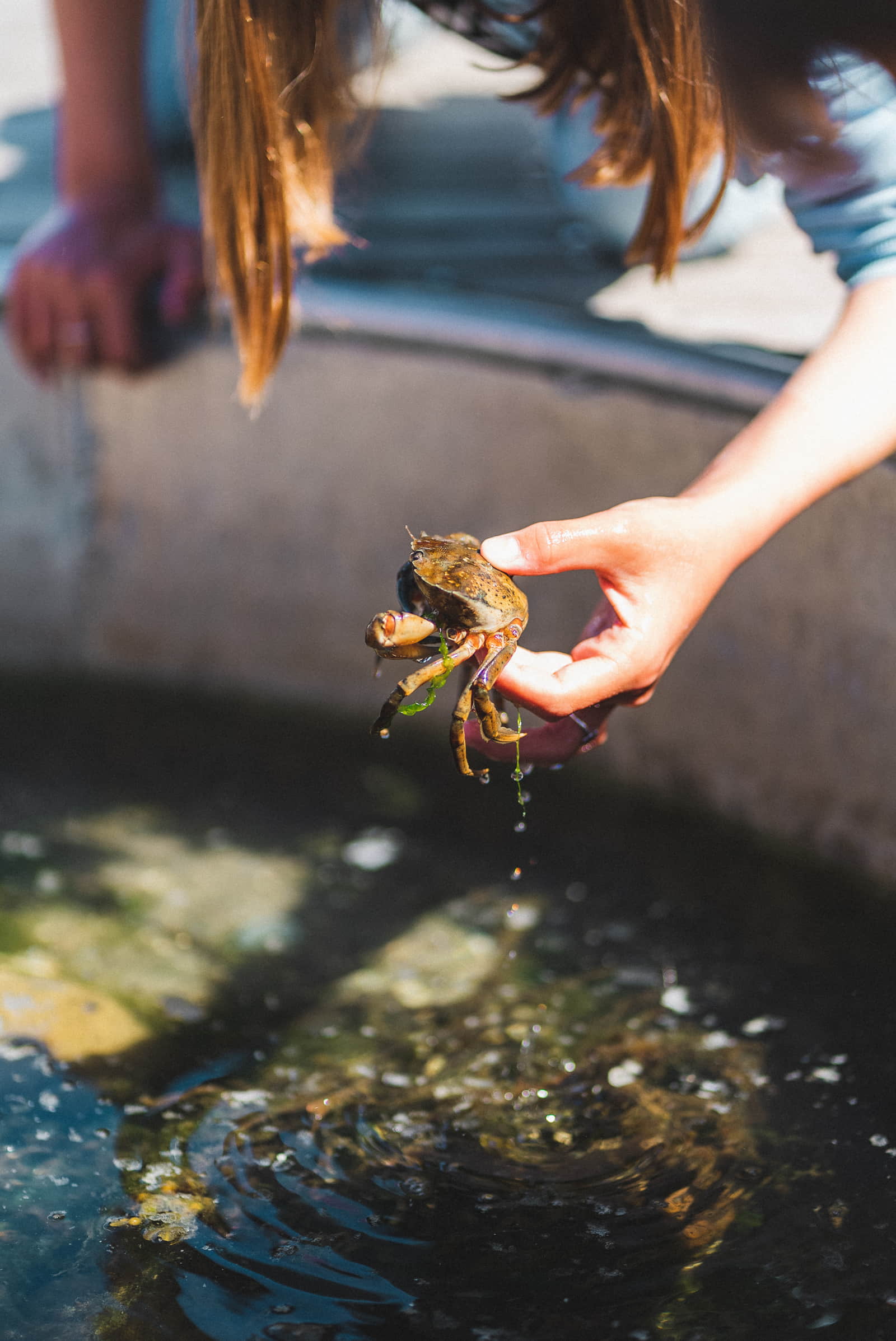 Klap en Fisk på Hundested