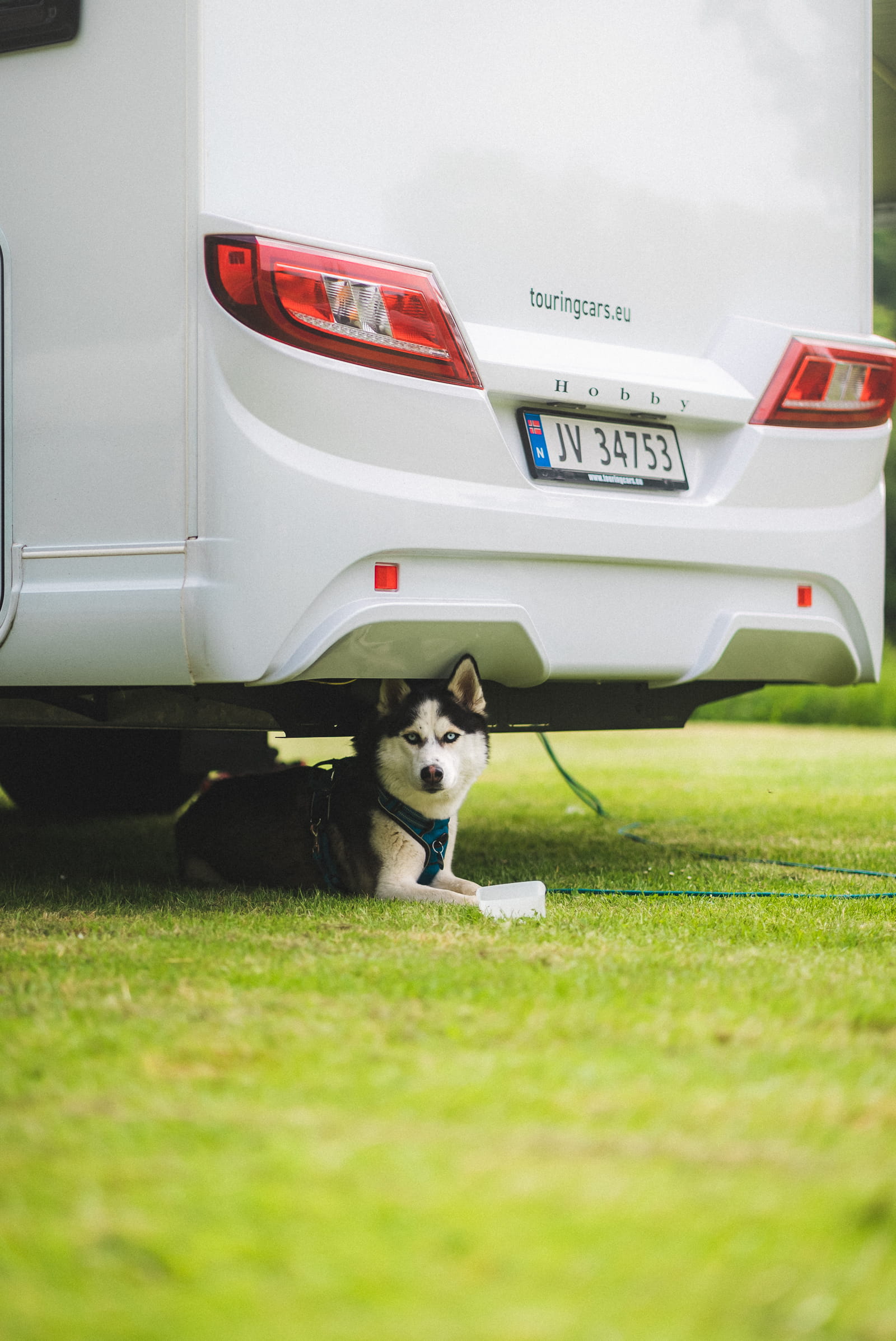 Ferien mit Hund in Nordseeland