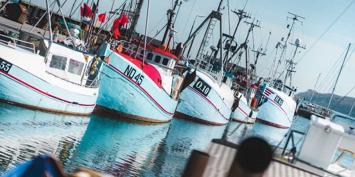 Fiskekutterne ligger på rad og række i Gilleleje havn