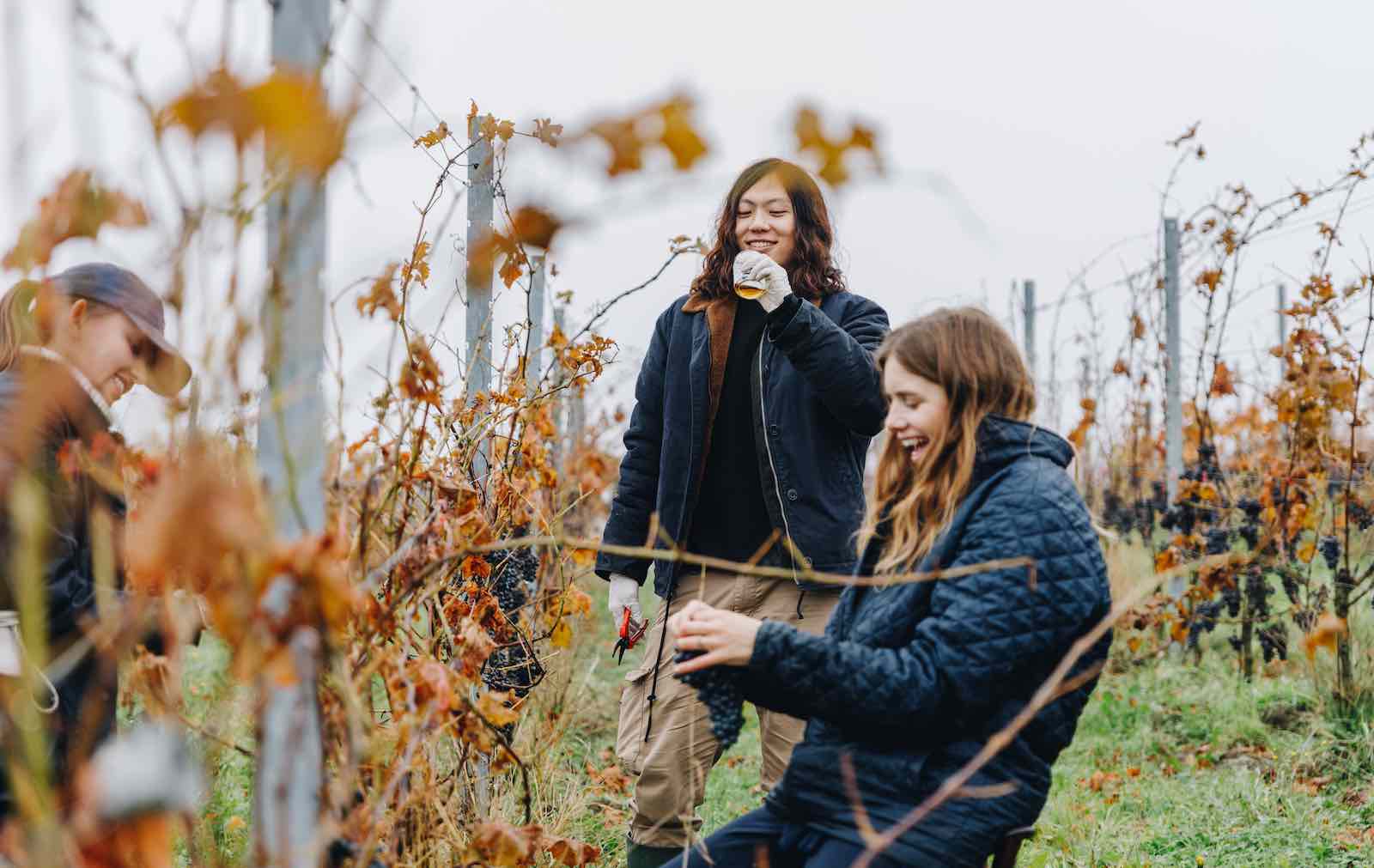 Bæredygtighed og turisme