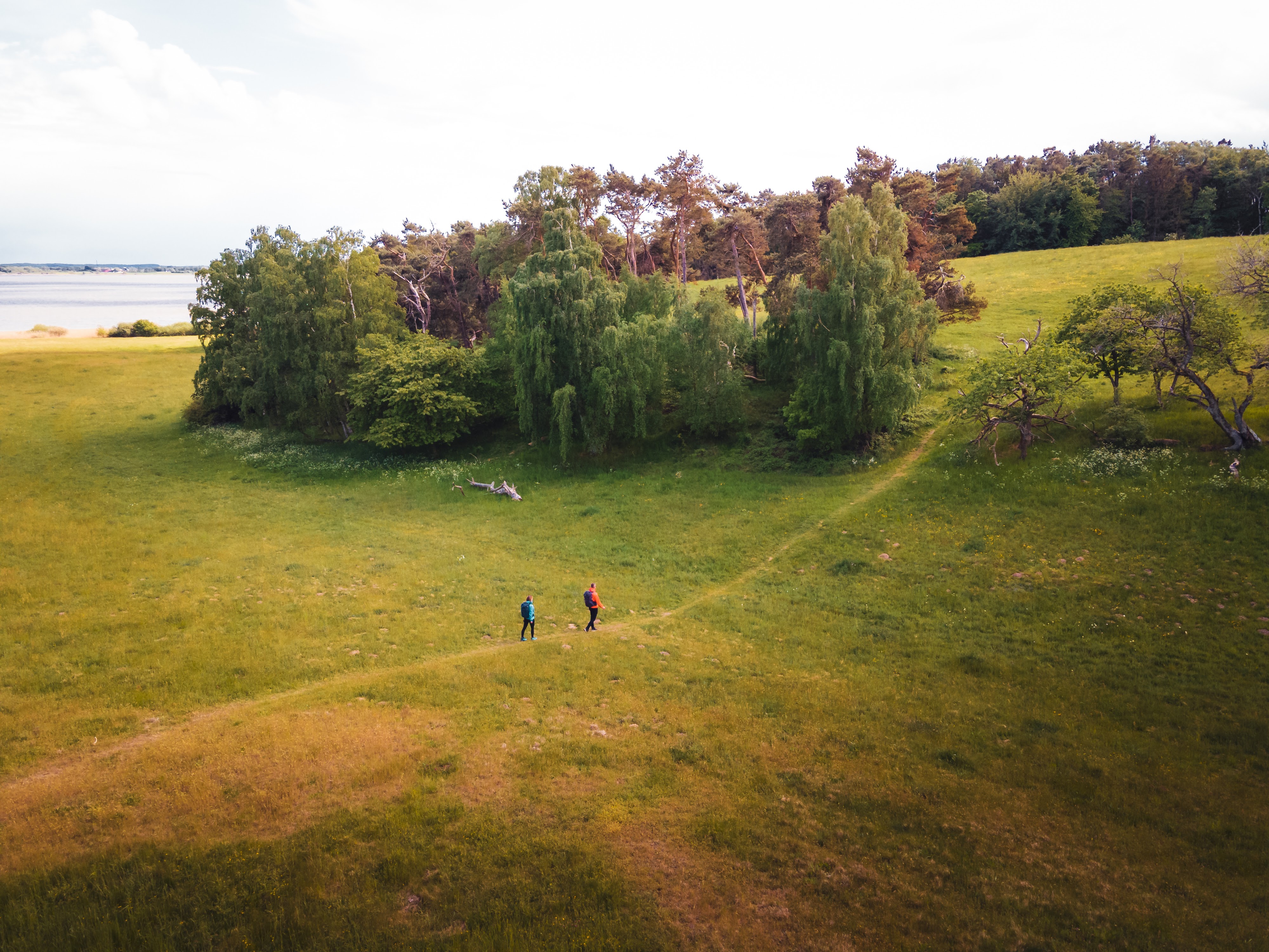 Gå i den fantastiske nordsjællandske natur på vandreruten Halsninoen
