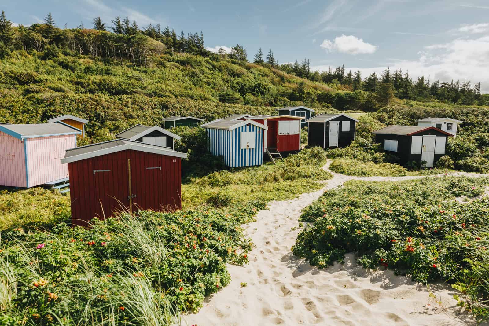 Badehusene ved Tisvildeleje Strand