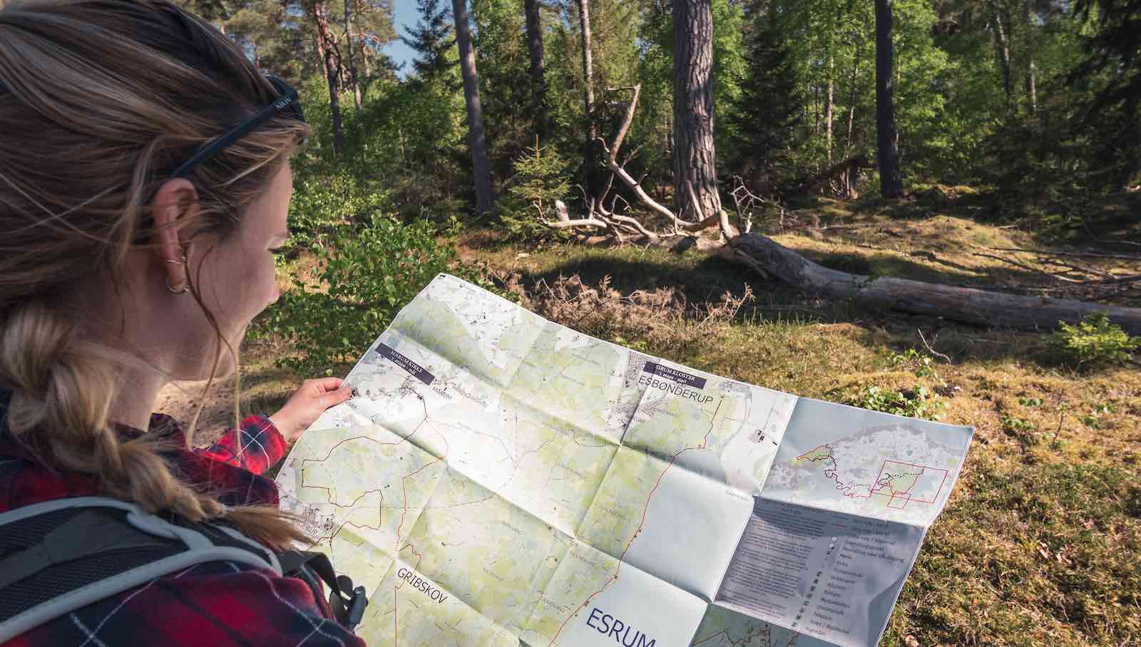 Resultater fra Markedsføringskampagne i Tyskland