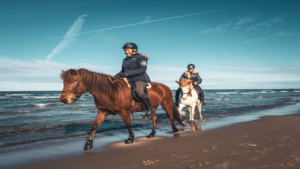 2 heste med ryttere på stranden