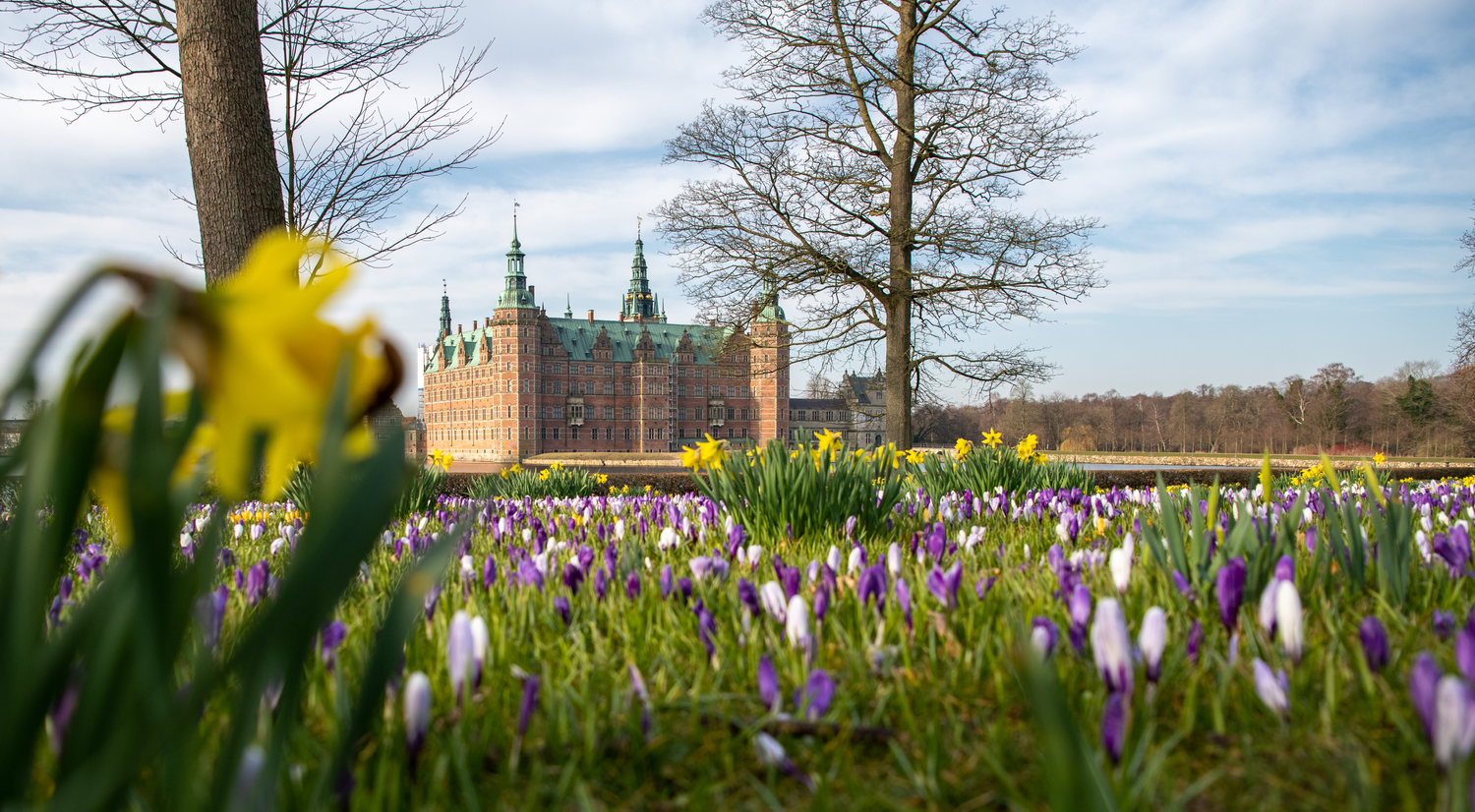 Blomster og udsigt til slottet